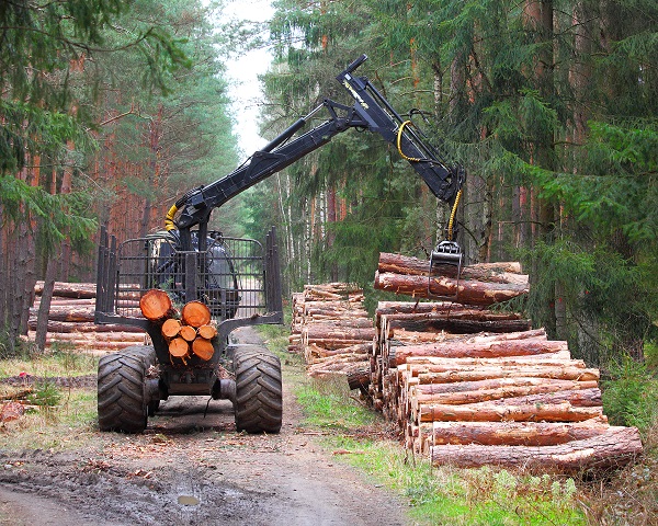 forestry_lumber application